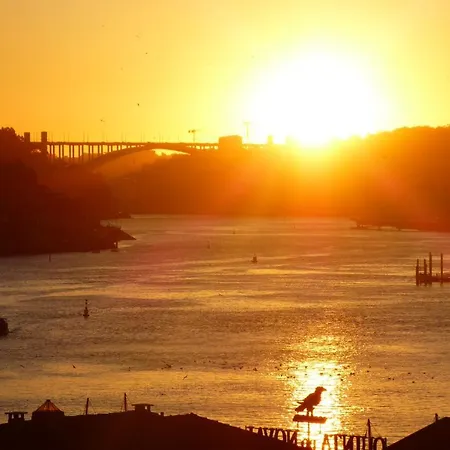 The Best View Of Porto Διαμέρισμα Βίλα Νόβα ντε Γκάια